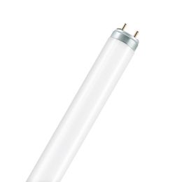 Leuchtstofflampen T8 5-Banden 58W / Daylight - 954