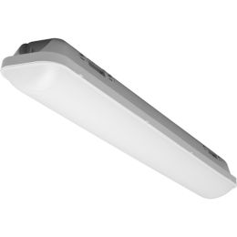 Radium LED Feuchtraumleuchte LED Dampproof 48W 865 115° 1480mm