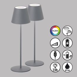 FHL LED-Akku-Tischleuchte 2er SET "Cosenza" 2W WW + 1W RGB IP44 Grau