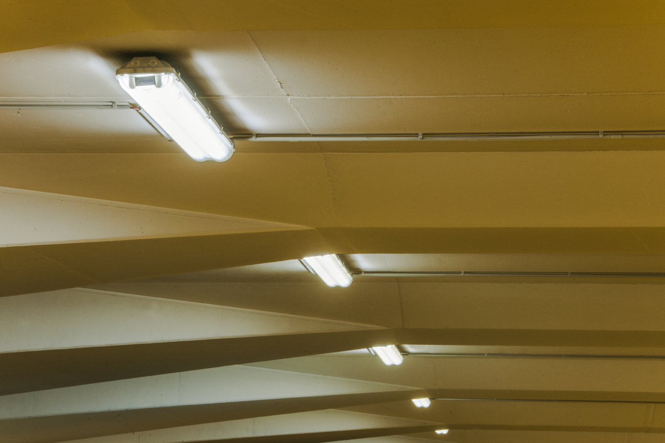 Facility Management Beleuchtung